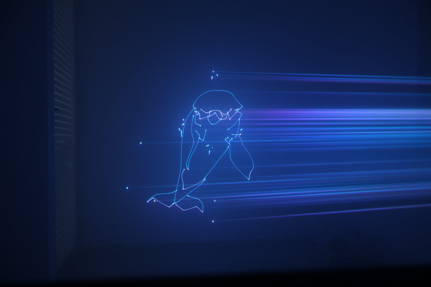 PRO DJ LIGHTING PL10000 LASSER DE ANIMACION 10W DMX ILDA ESCANER 25K