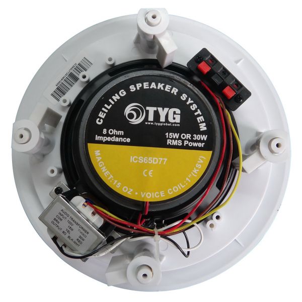 TYG Parlante 6.5" techo