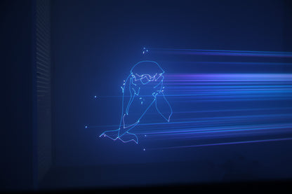 PRO DJ LIGHTING PL10000 LASSER DE ANIMACION 10W DMX ILDA ESCANER 25K