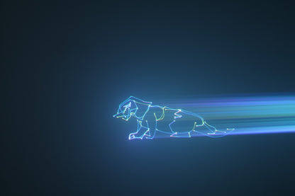 PRO DJ LIGHTING PL3000 LASER GRAFICO RGB DMX  60W CON CONTROL REMOTO