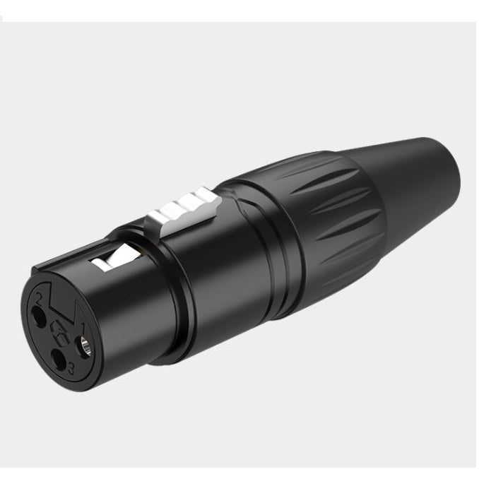Roxtone XLR RX3FP-BG