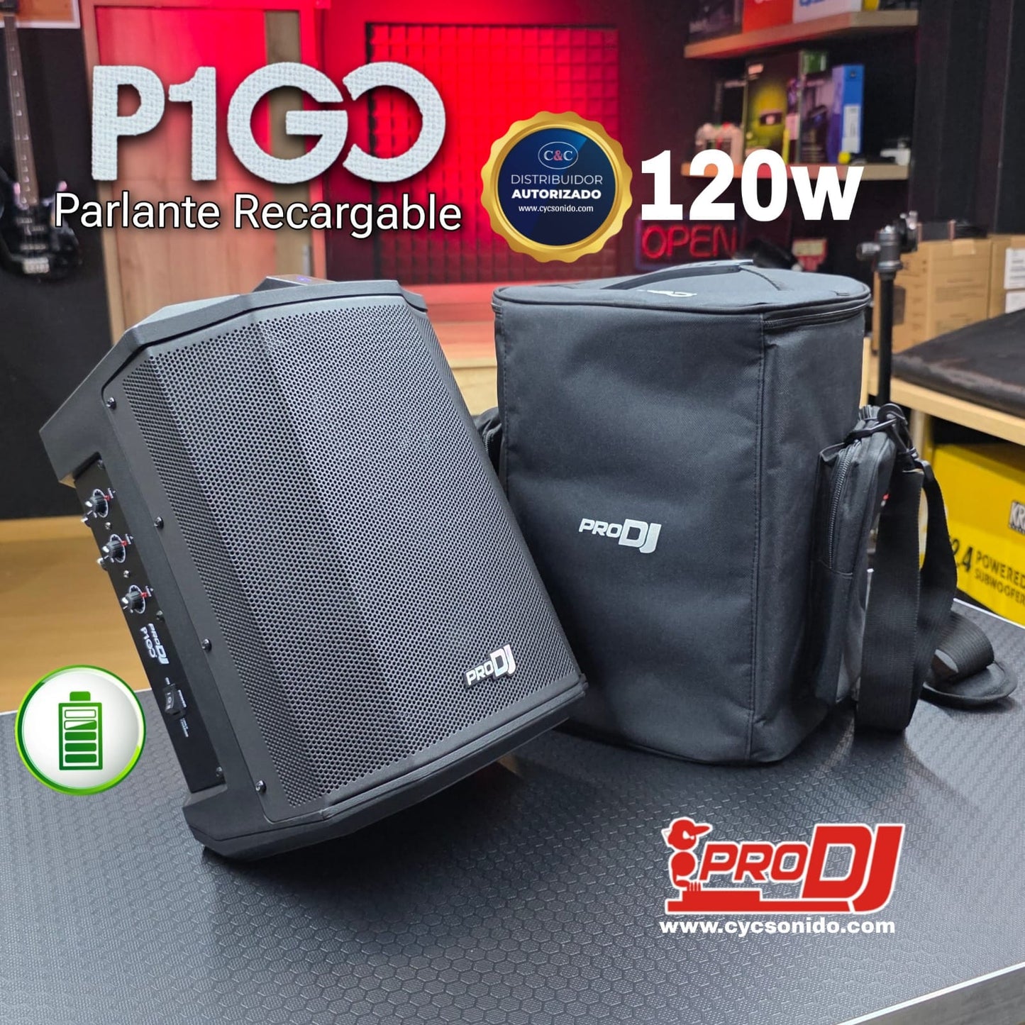 PRO DJ P1GOB CABINA RECARGABLE DE 6.5'' (INCLUYE FORRO DE TRANSPORTE)