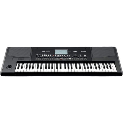 KORG PA300
