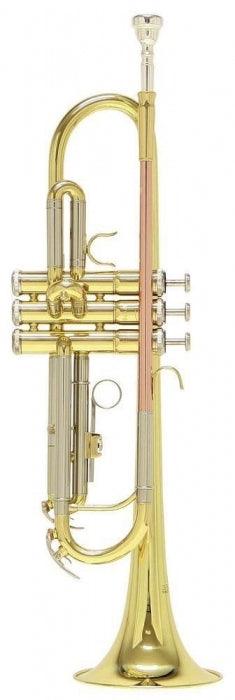 TROMPETA ROY BENSON TR202